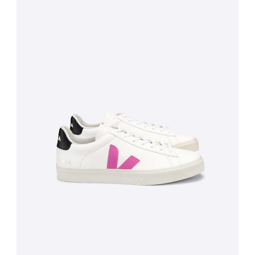 Veja CAMPO CHROMEFREE Women\'s Low Tops Sneakers White/Purple | NZ 597FDN